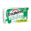 Trident White Spearmint Gum 16Stk